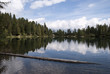 lake with forest