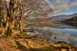 Llyn Dinas reflections Llyn Dinas reflections