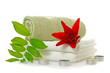 spa with red lily spa with red lily