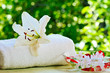 summer spa summer spa