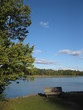 Bench on the bank