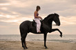 girl and horse on the beach girl and horse on the beach