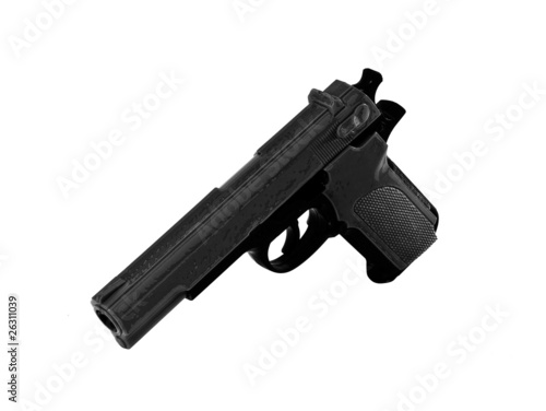 Photo: Hand gun Hand gun