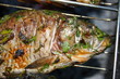 Grilled European carps