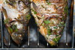 Grilled European carps