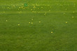 golf ball