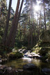 arroyo