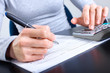 Accountant