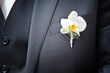 orchid on the suit