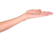 Empty hand isolated Empty hand isolated