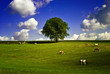 Landleben