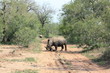 Afrique_du_Sud