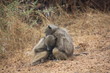Afrique_du_Sud Afrique_du_Sud