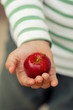 Gesundes  Kinder Obst