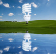 lightbulb reflection