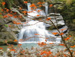 Herbstlaub mittig vor Wasserfall