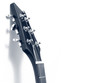 Neck of electric guitar Neck of electric guitar