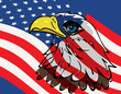 Eagle over USA flag