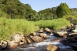 Bergbach durch die Wiese