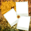 Solid Gold Digital Scrapbooking Page