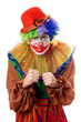 Portrait of an anger clown