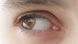 Eye of the person