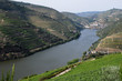 Portugal, vignobles de Pinhao Portugal, vignobles de Pinhao