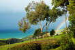 Rural Ocean View with Rainbow