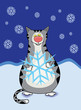 tabby grey cat with light blue snowflake