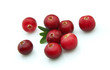 Winter berry - a cranberry
