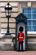 buckingham palace solider