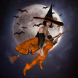 Witch On Broom With Background