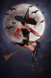 Witch On Broom With Background