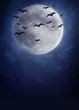 Creatures of the Night