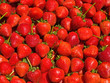 Ripe Red Strawberries at a Farmers Market Ripe Red Strawberries at a Farmers Market