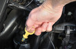 Photo: Checking the Oil Level of an Automobile Engine Checking the Oil Level of an Automobile Engine