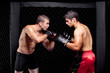 Mixed martial artists before a fight