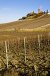 windmill and vineyard near Verzenay, Champagne Region, France windmill and vineyard near Verzenay, Champagne Region, France