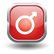 männlich symbol