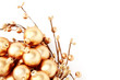 golden balls