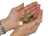 Holding coins