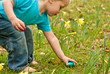 Closeup of toddler picking Easter eggs on an Easter egg hunt