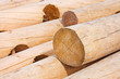 Logs for house building