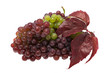 Foto: Weintrauben mit Blatt Weintrauben mit Blatt