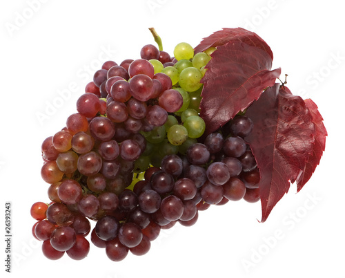 Photo: Grapes with leaves Grapes with leaves