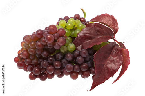 Photo: Weintrauben mit Blatt Weintrauben mit Blatt