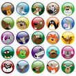 Wildlife animals shiny icon set
