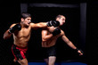 Photo: Mixed martial artists fighting - punching Mixed martial artists fighting - punching