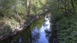 Flusslauf / Bach