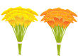 Callas